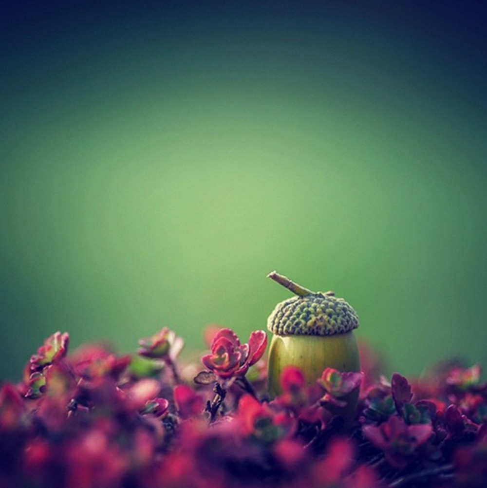 Proud Of, Catherine Galice - Notre métier : l